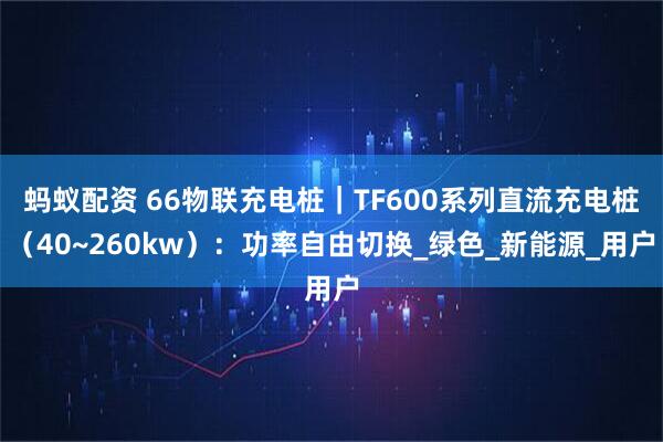 蚂蚁配资 66物联充电桩|TF600系列直流充电桩(40~260kw):功率自由切换_绿色_新能源_用户