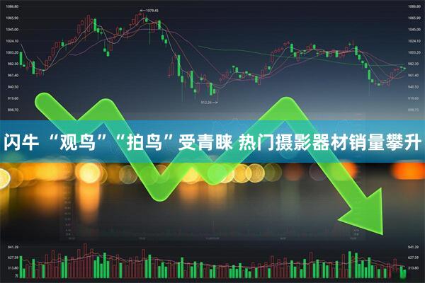 闪牛 “观鸟”“拍鸟”受青睐 热门摄影器材销量攀升