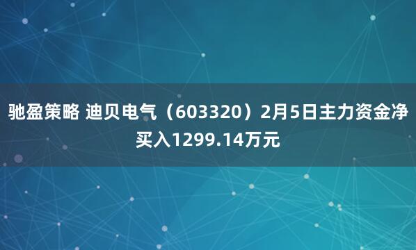 驰盈策略 迪贝电气（603320）2月5日主力资金净买入1299.14万元
