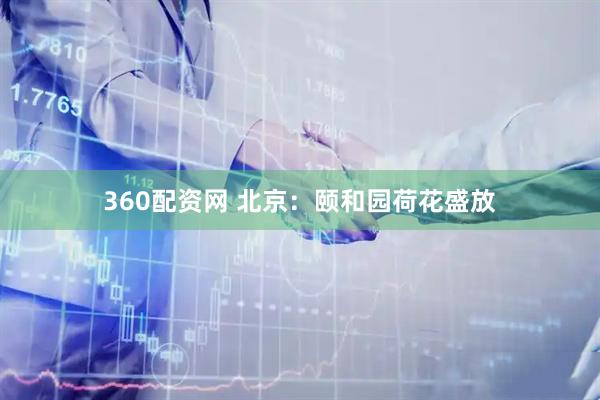 360配资网 北京：颐和园荷花盛放